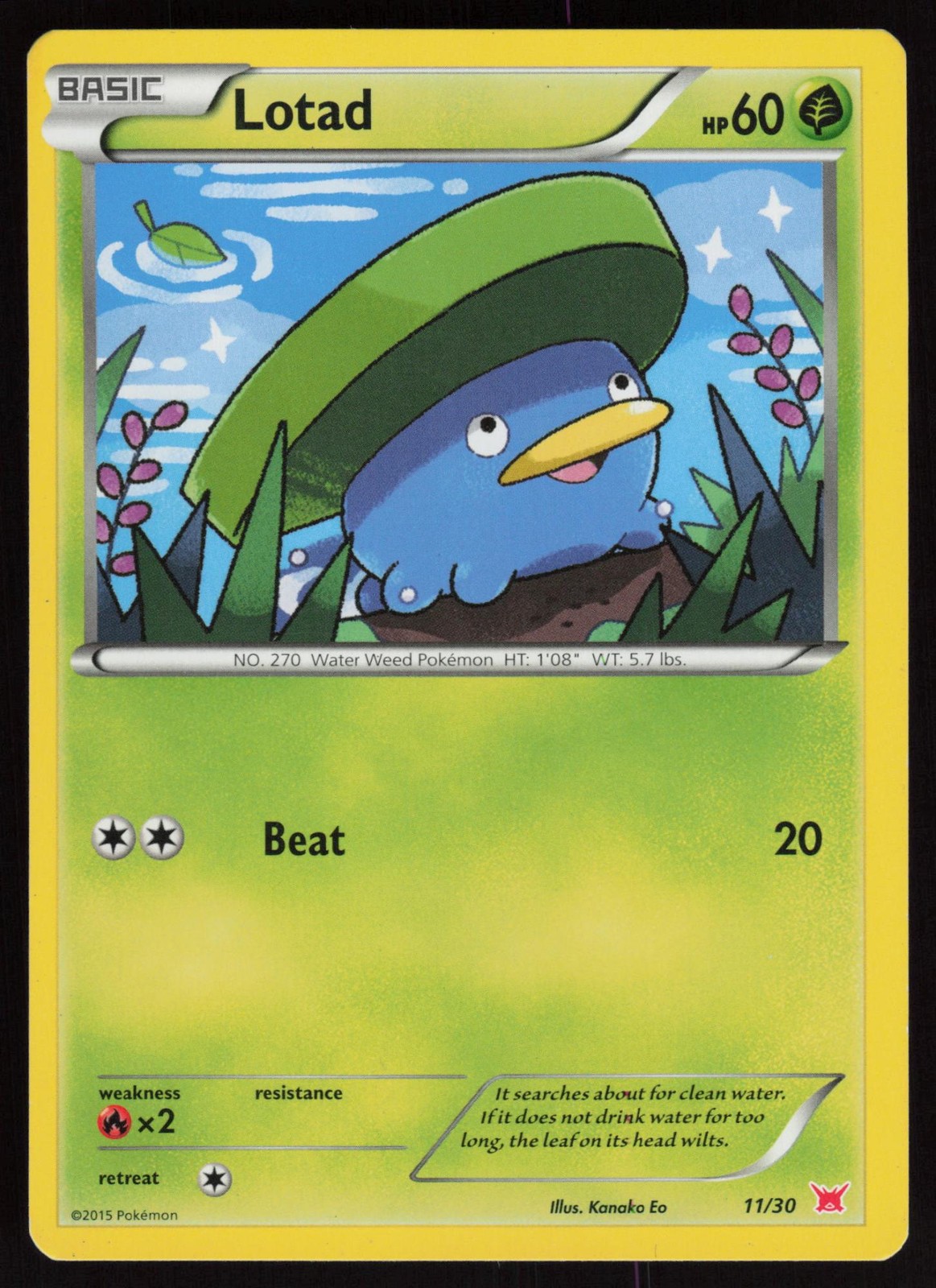 LOTAD 11/30 XY TRAINER KIT LATIAS POKEMON LP