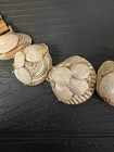 Beautiful Vintage Seashell Choker Necklace & Bracelet Set! Gold Tone! — photo 3