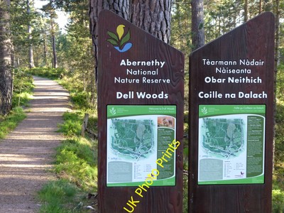 Photo 12x8 Dell Woods Nethy Bridge Abernethy National Nature Reserve infor c2016