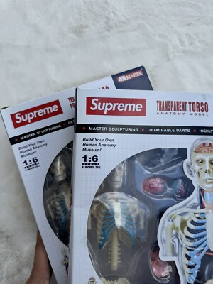 SUPREME Male & Female Anatomy Model Set Red | 2018 | 4D Human RARE
