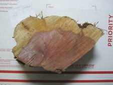 Live Edge Round Eastern Red Cedar Slab Slice 10" x 2" approx. 28