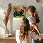 Imagen 2 de 10