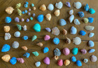 Miniature Colored Sea Shells  78 piece