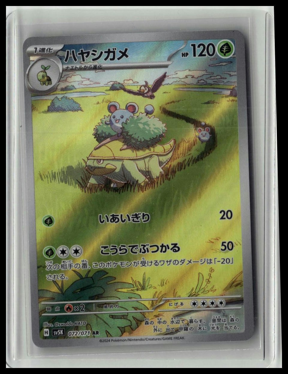 Grotle Art Rare #072/071 SV5K: Wild Force - Near Mint or Better