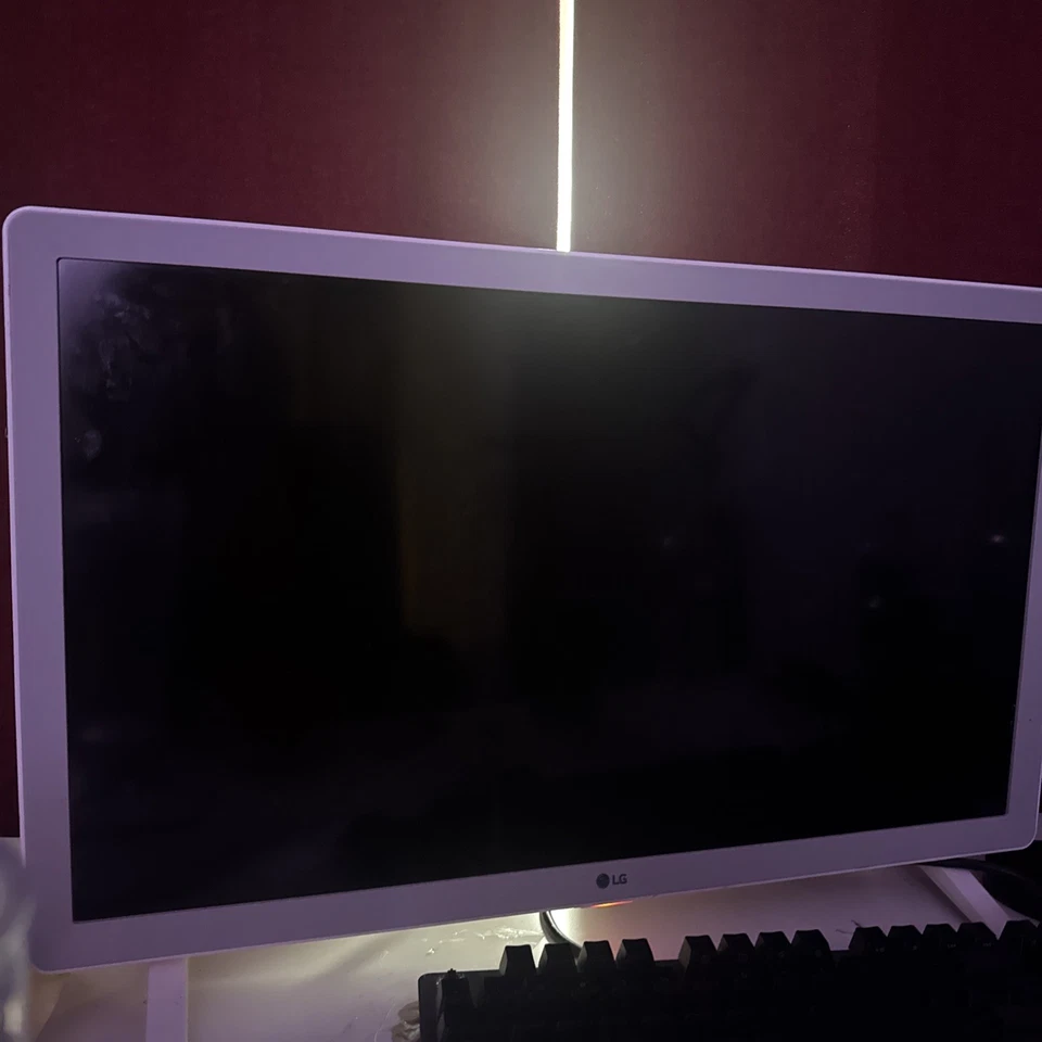 Smart TV LED LG 24” HD 720p, con mando a distancia .24LJ4840 probado funcionando Foto 3 de 3