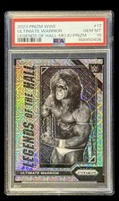 Ultimate Warrior Cards and Memorabilia Guide 15