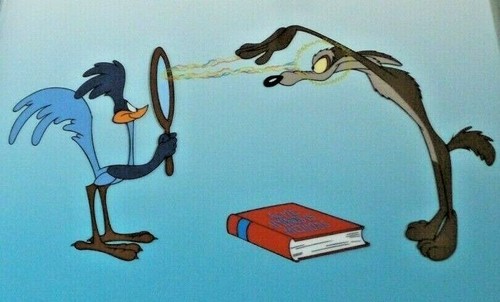 Wile E Coyote And Roadrunner Cliff