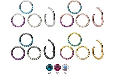 PIERCINGLINE  Piercing Ring Chirurgenstahl Segmentring Clicker KRISTALLE + EPOXY