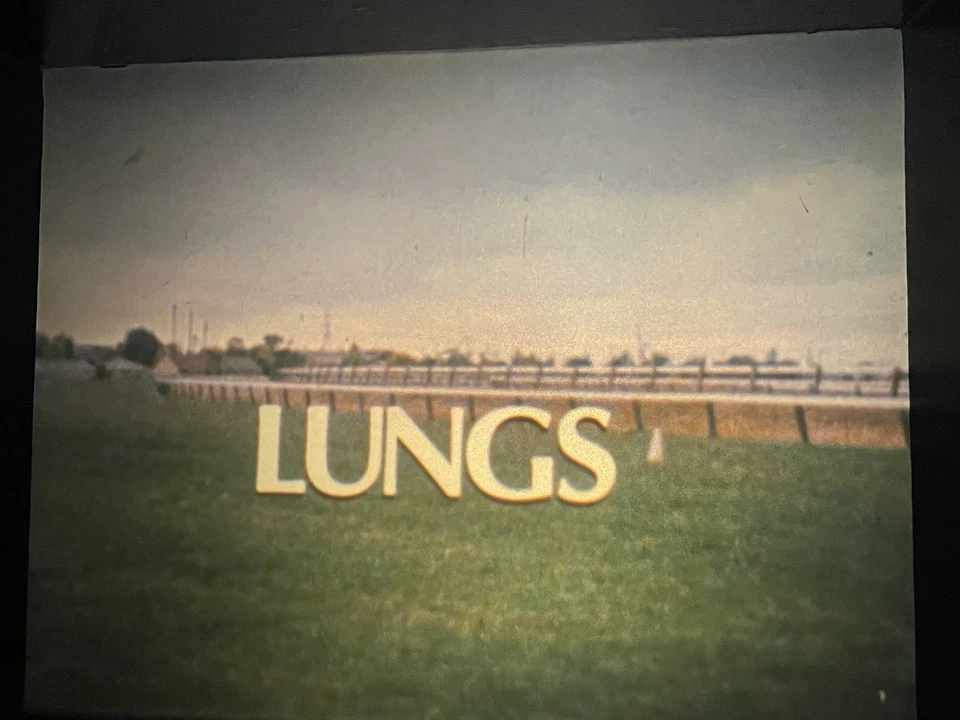 16mm AIMS Veterinary Film: 'Lungs' (1982) - Image 3 of 4