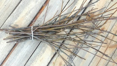 25 Rowan Wood Twigs. Rowan Sticks. Decorative Rowan Branches Bundle. Rustic H...