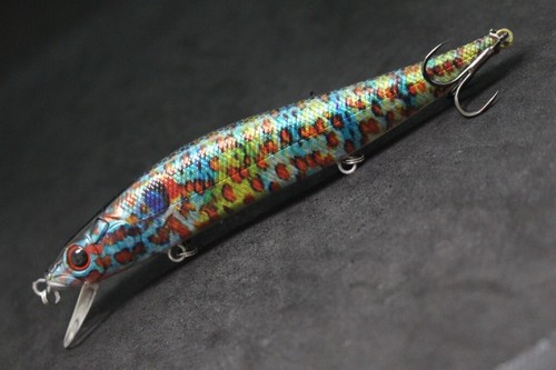 Señuelos de pesca Jerkbait con señuelo de 5 pulgadas pececillos ajustados flotantes realistas HM262 - Imagen 53 de 97
