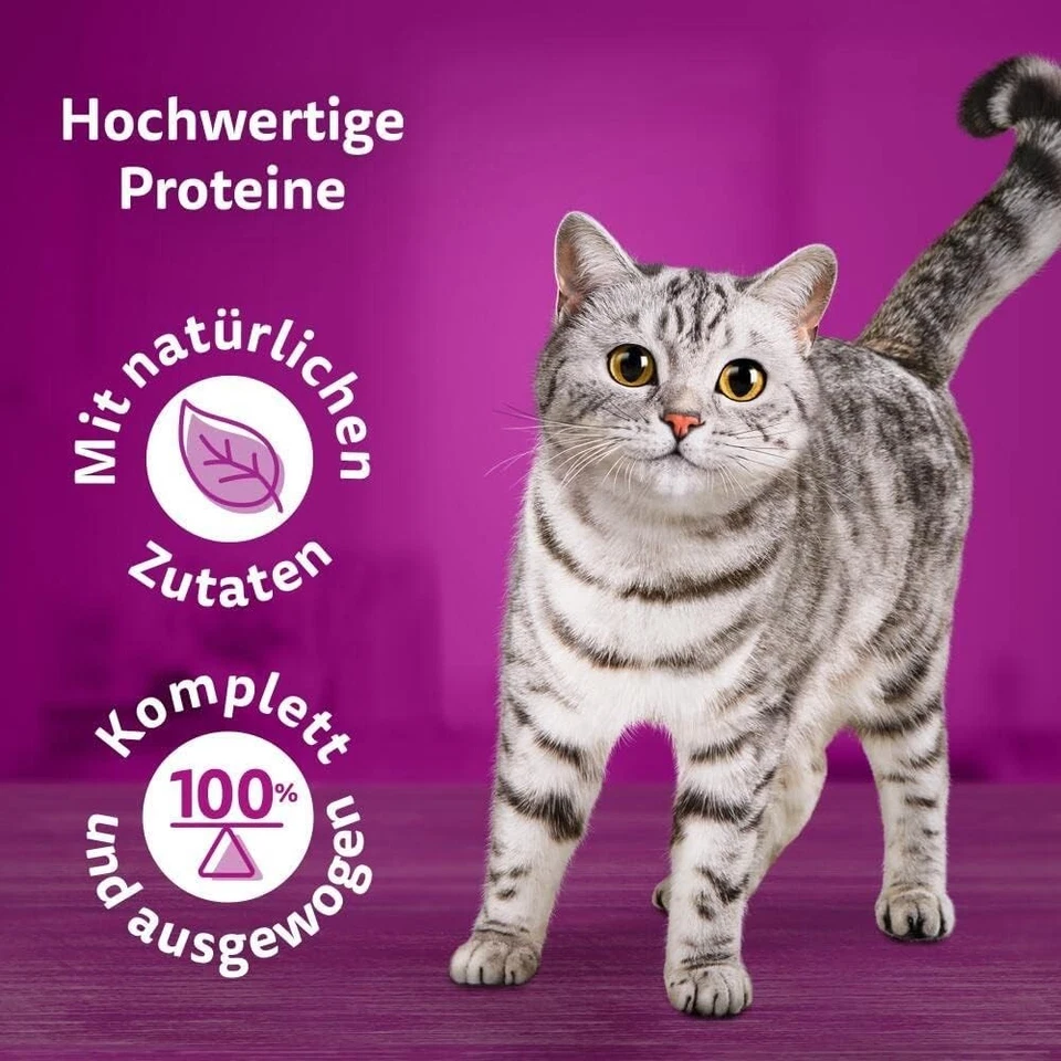 Whiskas 1+ Katzennassfutter Ragout Geflügel Auswahl in Gelee, 40x85g (1 Packung) - Bild 3 von 4