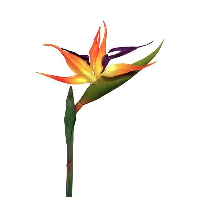 Künstliche Strelitzie 60cm Kunstblume Paradiesvogelblume Papageienblume Tropisch - Bild 1 von 3