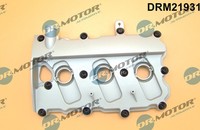 Zylinderkopfhaube Ventildeckel Rechts FÜR Audi - Dr.Motor Automotive DRM21931