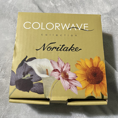 NEW Set of 4 Noritake Colorwave Floral Appetizer 6.25  Plates  Graphite Open Box
