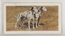 1961 Horniman's Dogs Tea Dalmatian #33 0e3