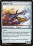 MTG Magic the Gathering Pilgrim's Eye (55/68) Game Night LP