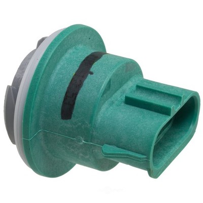 Back Up Light Socket WVE 1P1316