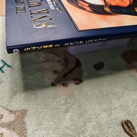 SNK Art Book Vol.1 Vol.2 2-Book Set Neo Geo