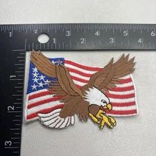 Bald Eagle AMERICAN FLAG Patch (USA Flag) 00ar