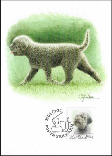 Romagnolo Lagotto Dog Sweden Mint Maxi FDC Card 2008 - Afbeelding 1 van 1