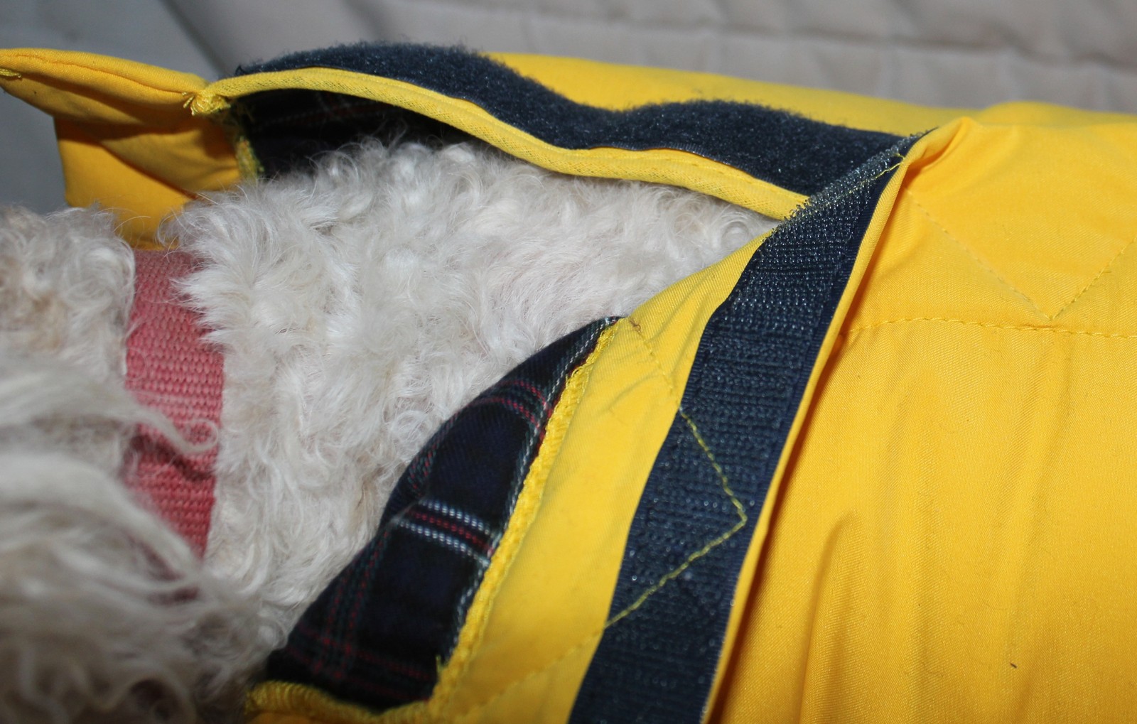 All In One Dog Fleece Suit at Elizabeth Stevens blog