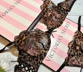 Victoria&rsquo;s Secret Geo Leo Embroidery Unlined Demi Bra Thong Set