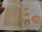 Picture 2 of 2