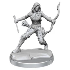HUMAN ROGUE FEMALE Wizkids Dungeons & Dragons Frameworks Miniatures WZK75038