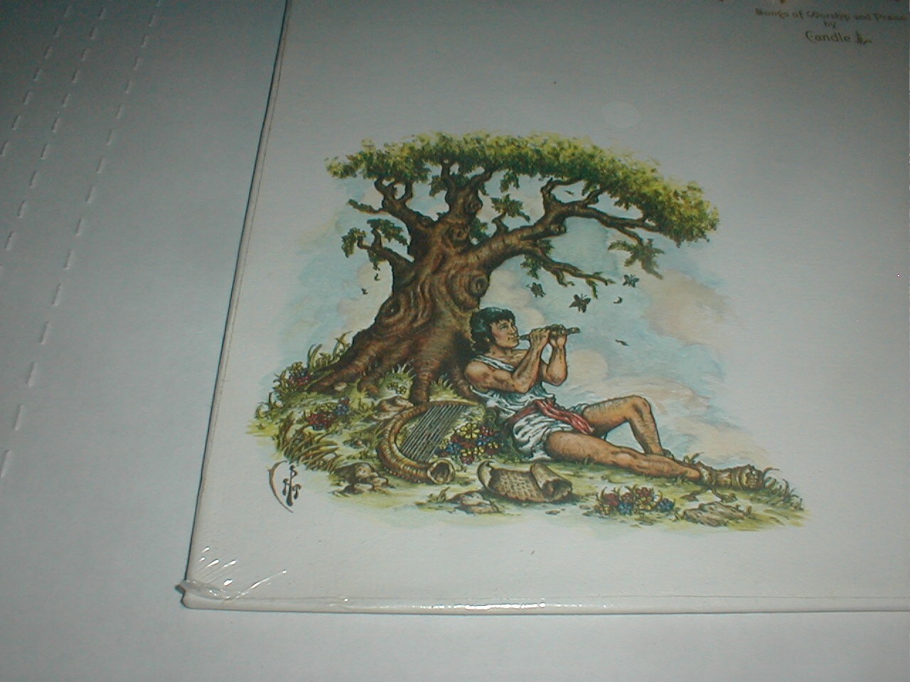 Picture 2 of 8