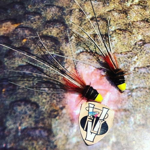 V Fly Stor Lax Gambe 11: Set Da 2 Mosche Artificiali In Tungsteno Per La Pesca Al Salmone – Colore Nero Francis Per Fiumi E Torrenti