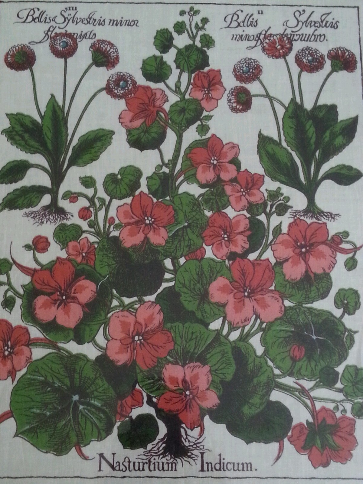 Picture 1 of 5