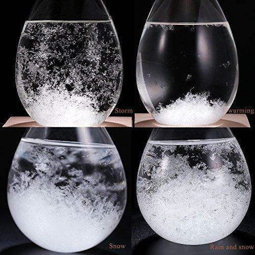 Storm Glass Barometer Crystal Drop Weather Forecaster w/ Wooden Base - Large eBa