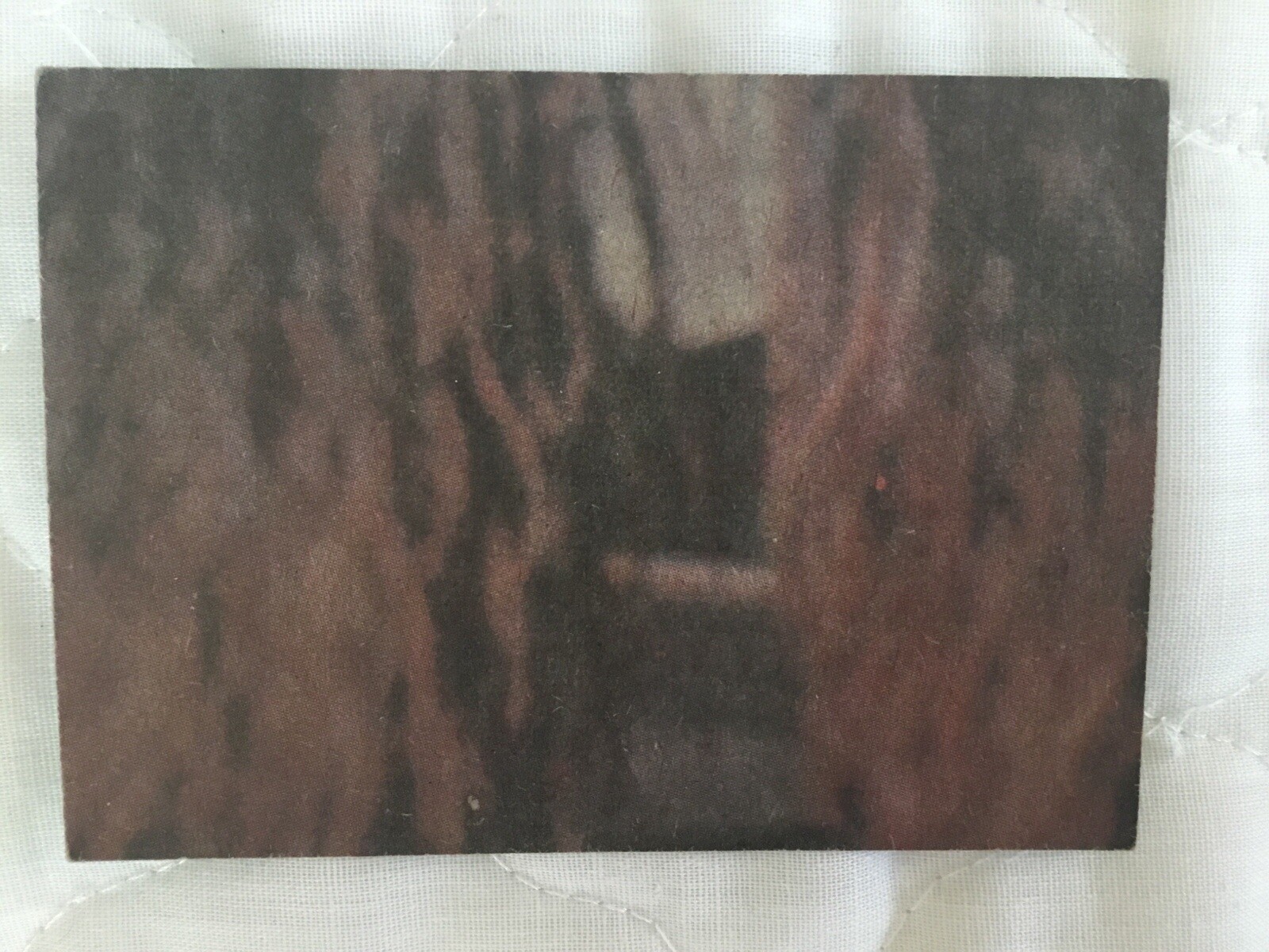 Picture 2 of 2