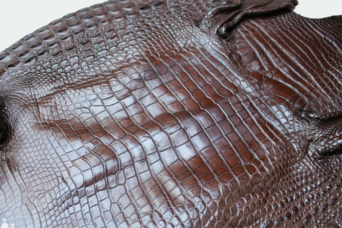 Genuine Crocodile, Alligator Skin Leather Hide Exotic Pelt Black taxidermy  Craft