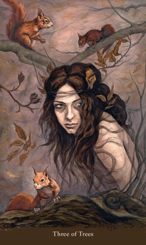 WITCH SISTERS TAROT KIT Deck Card Book Set Divine Feminine magick oracle cards - Picture 2 of 5