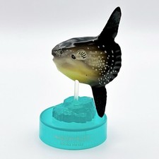Kaiyodo Mini Figure "Mola mola" AQUATALES Sea creature Japan F/S