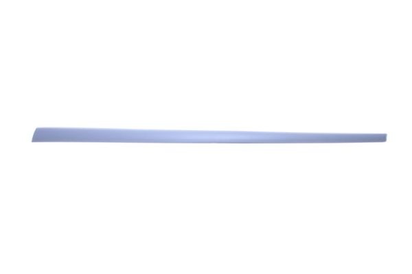 Right Front BLIC 5703-04-2564576PP Trim/Protection Strip, wing for FORD