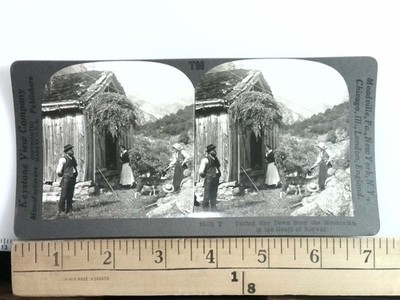 Taking Hay Down from Mountains Norway Stereoview Keystone View Co. 1900s