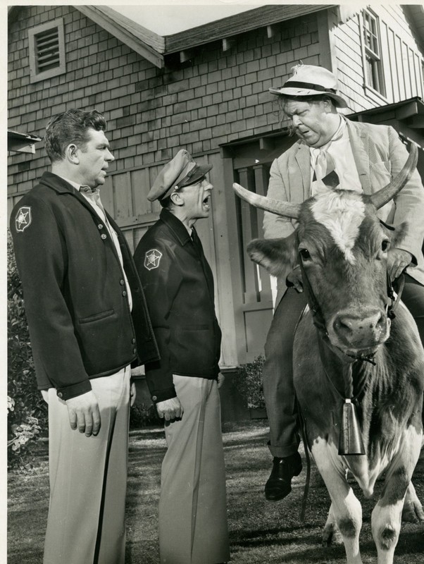 The Andy Griffith Show Original Viacom Press Photo Otis Hal Smith Cow Scene Rare