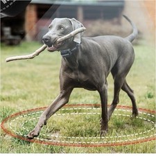 DOGOITM GM08 GPS Wireless Pet Fence System Electric Fence Collar