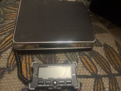 Stainless Steel Deck Scale. Calibrated Up To 425 Lb. 445 Capacity   Resolution.1