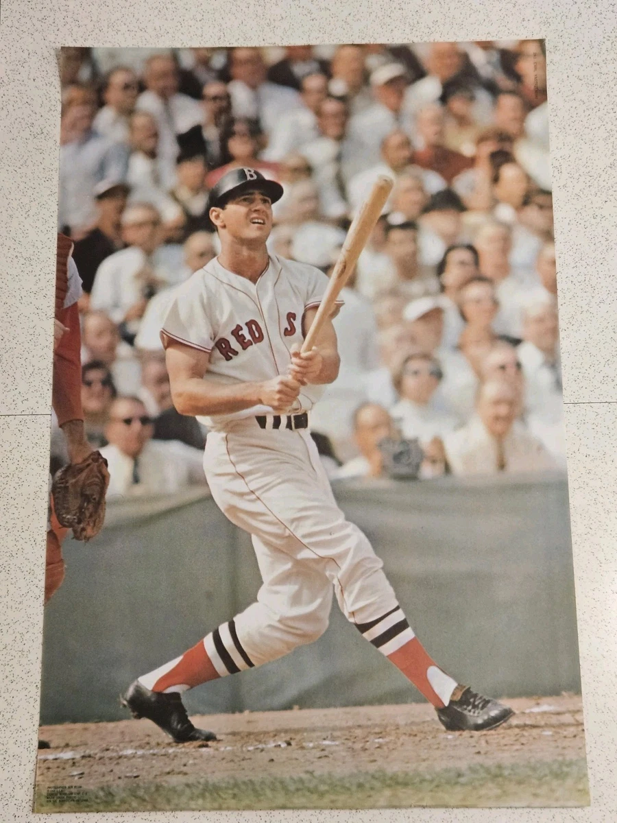 25+ Baseball 24x36in. Size Vintage Sports Posters for sale