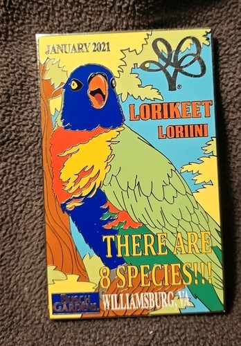 2021 Busch Gardens Williamsburg Limited Edition Of 300 Lorikeet Pin