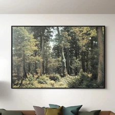 Oak Forest by Robert Zund Canvas/Poster Wall Art - Landscape Painting Print