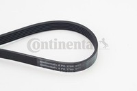 Keilrippenriemen Continental Ctam 6PK1780 FÜR BMW FÜR Fiat Ford Poly V Riemen