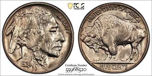 1924 BUFFALO NICKEL PCGS MS 65 PALE AMBER CELLOPHANISH LUSTER OVER A FULL STRIKE