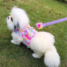 Dog Harness AND Matching Purple Leash Size Large L 3D Flower NEW 