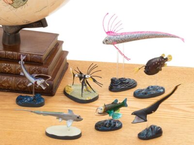 COLORATA Real Figure NATURE'S LIBRARY Deep Sea Fish BOX From Japan