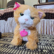 Hasbro FurReal Friends 2012 Daisy Orange Plays With Me Kitten Cat Interactive.